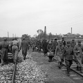 hadifoglyok menete Baranyavárról Pélmonostor felé, háttérben a cukorgyár.