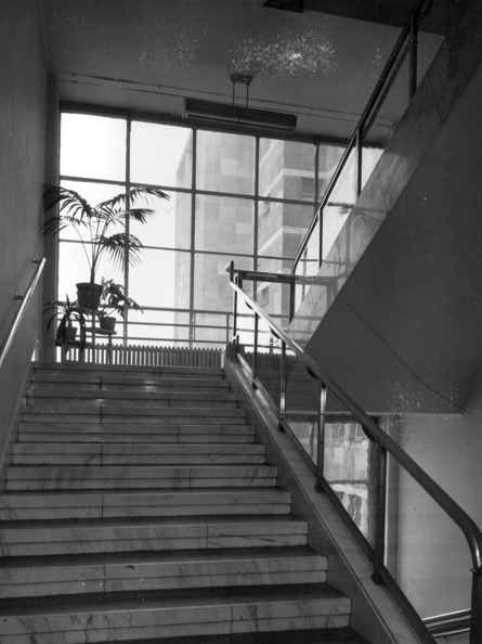 Kútvölgyi úti Központi Állami Kórház (ma Semmelweis Egyetem Kútvölgyi Klinikai Tömb), lépcsőház.