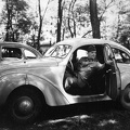 Hanomag 1,3 literes (1939) személygépkocsi a honvédség állományában.