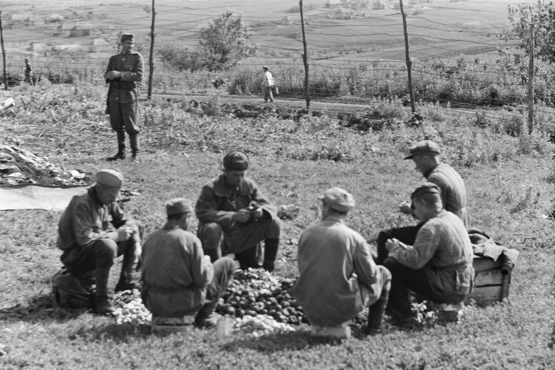 hadifogolytábor, magyar hadsereg által adott őrség.
