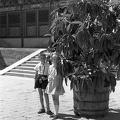 Nyári Palota; az Erény és Harmónia kertjében található Nagyszínházi pavilon hátulról nézve.