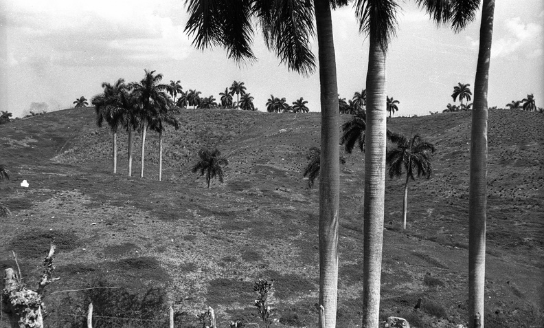 lepusztult talajú domboldal Havanna környékén.